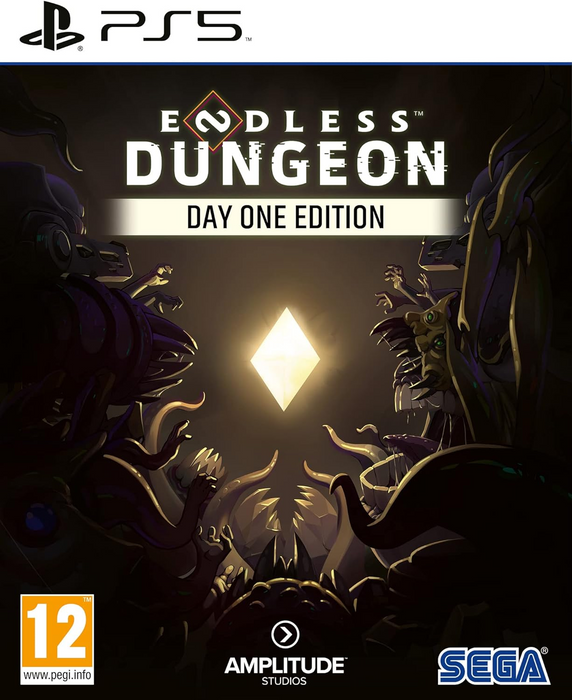 Endless Dungeon - PS5