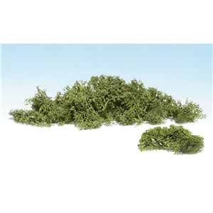 Spring Green Lichen