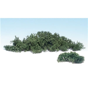 Light Green Lichen