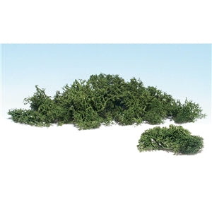 Medium Green Lichen