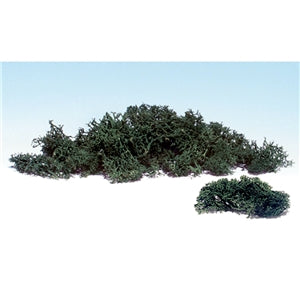 Dark Green Lichen