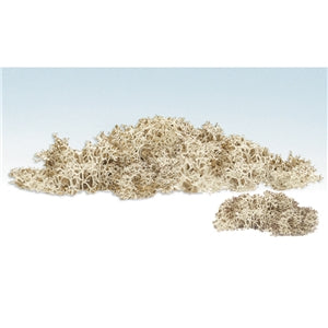 Natural Lichen