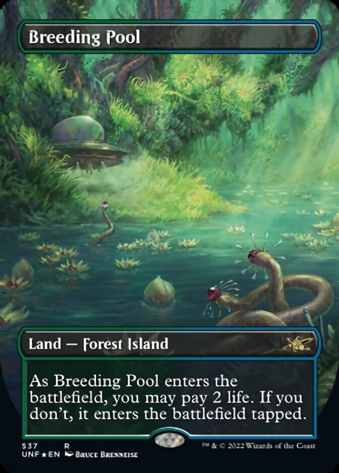 Breeding Pool (Borderless) (Galaxy Foil) [Unfinity] | Yard's Games Ltd