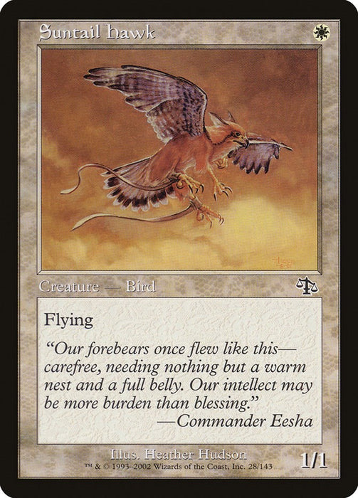 Suntail Hawk [JUD - 28]