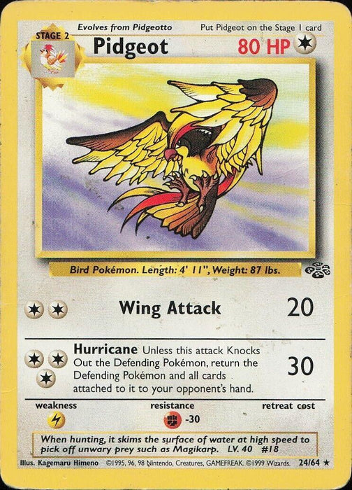 Pidgeot (24)