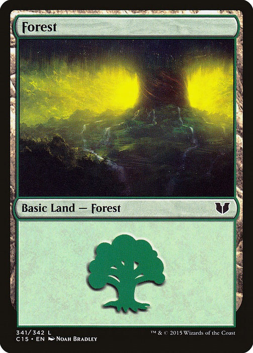 Forest (341) [C15 - 341]