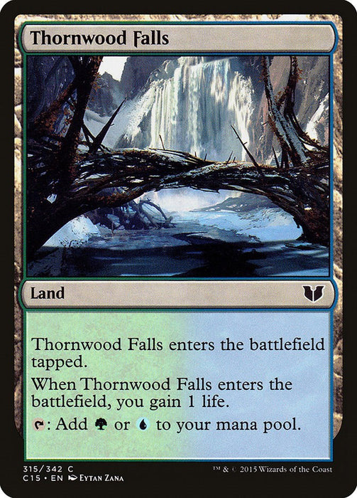 Thornwood Falls [C15 - 315]
