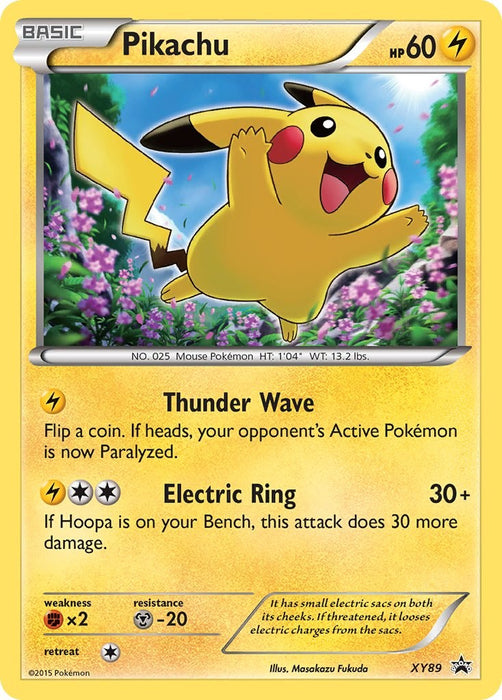 Pikachu (Collector Chest) [PR - 089]