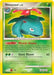 Venusaur (Secret Wonders)