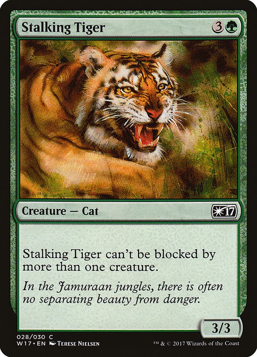 Stalking Tiger [W17 - 28]