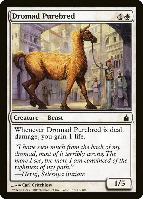 Dromad Purebred [RAV - 15]