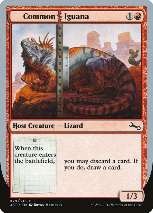 Common Iguana [UST - 79]
