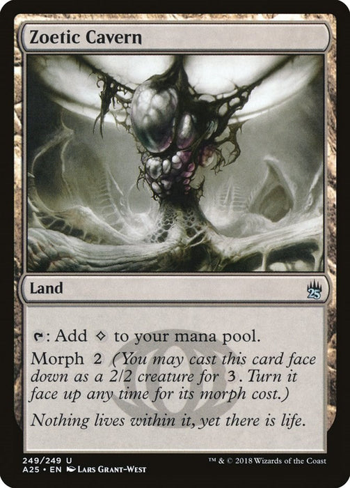 Zoetic Cavern [A25 - 249]