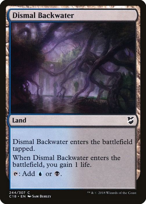 Dismal Backwater [C18 - 244]