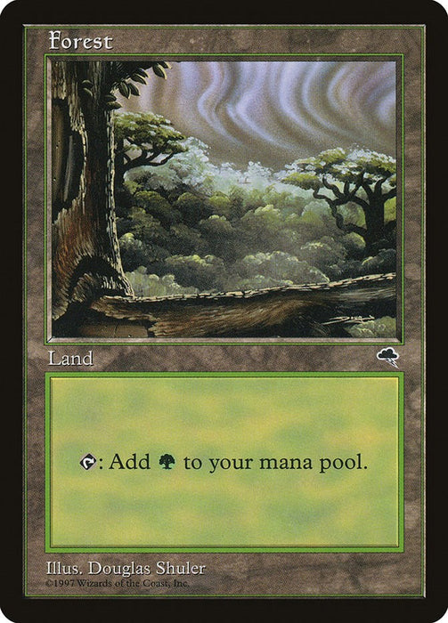 Forest (Cloudy) [TMP - 349]