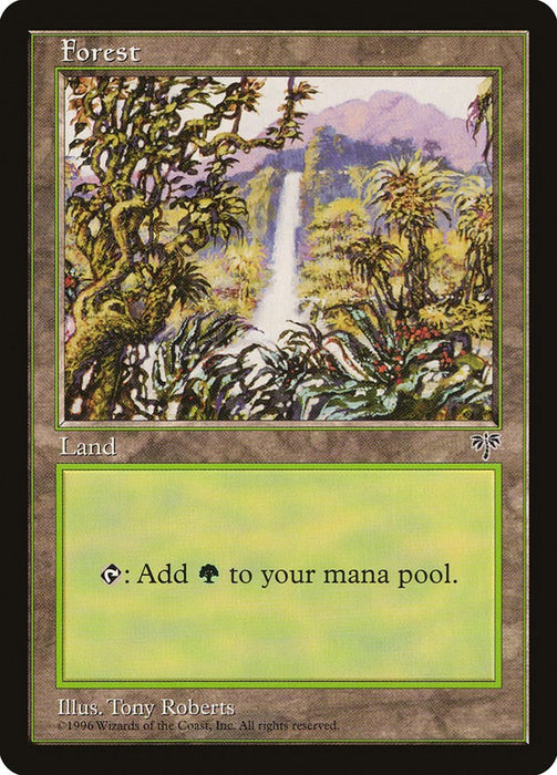 Forest (Waterfall) [MIR - 293]