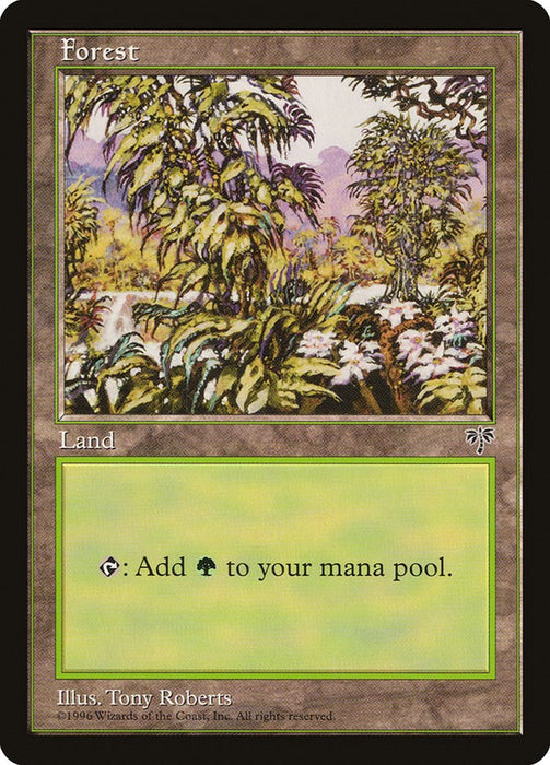 Forest (White Flowers Right) [MIR - 294]