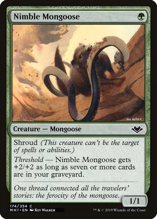 Nimble Mongoose [MH1 - 174]