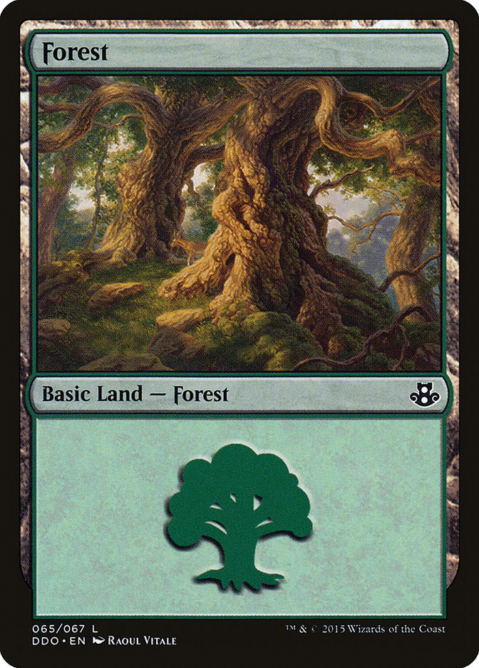 Forest (65) [Duel Decks: Elspeth vs. Kiora] | Yard's Games Ltd