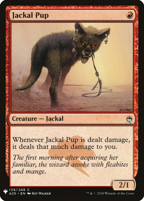 Jackal Pup [LIST - 139]