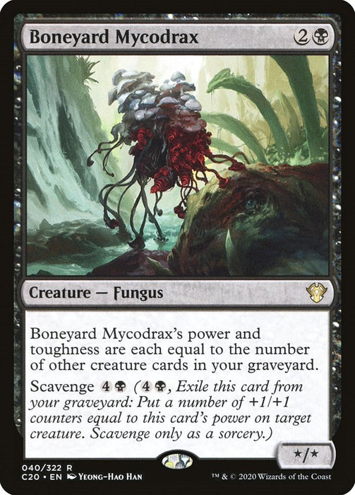 Boneyard Mycodrax [C20 - 40]