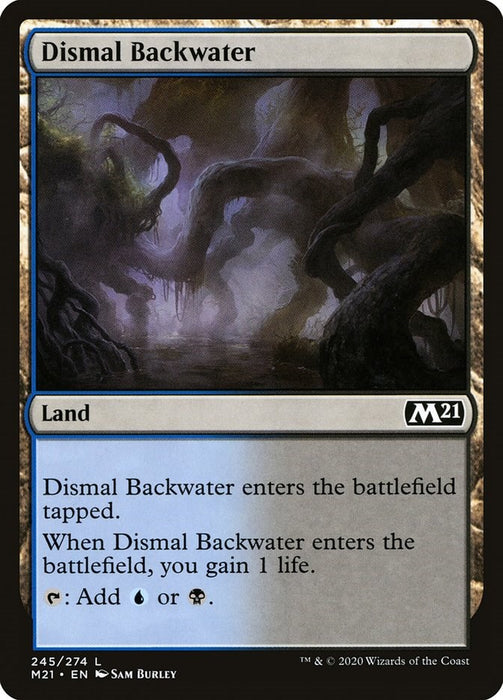 Dismal Backwater [M21 - 245]