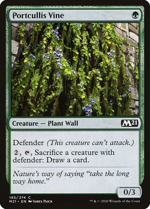 Portcullis Vine [M21 - 195]