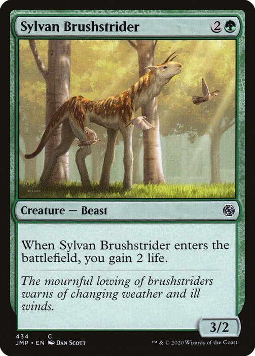 Sylvan Brushstrider [JMP - 434]