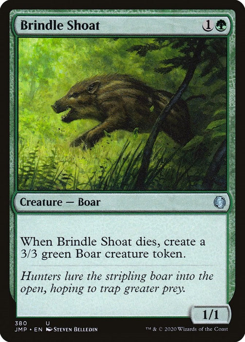 Brindle Shoat [JMP - 380]