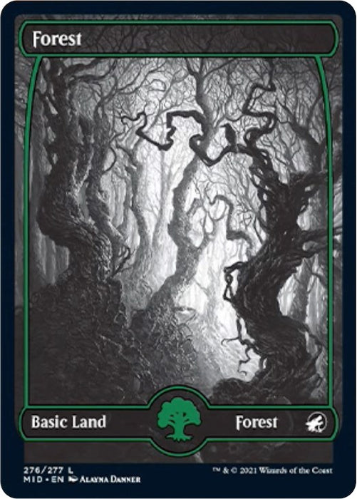 Forest (276) [MID - 276]