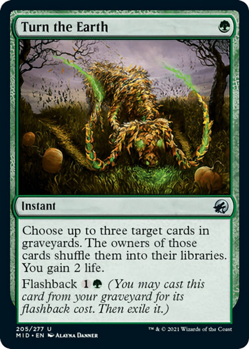 Turn the Earth [MID - 205]
