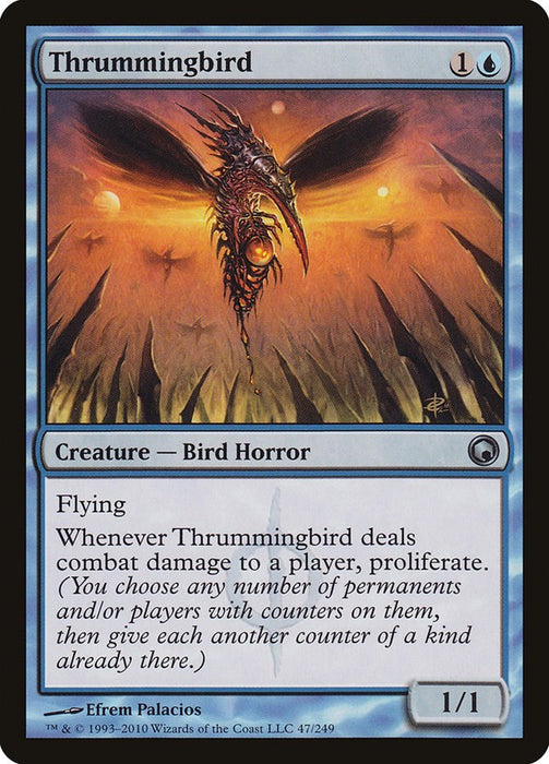 Thrummingbird [SOM - 47]