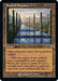 Path of Ancestry (Retro Frame) [BRC - 192]