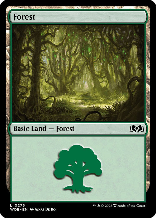 Forest (0275)