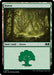 Forest (0275)