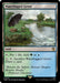 Waterlogged Grove