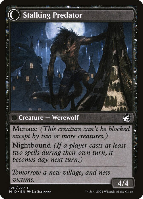 Shady Traveler (Back)