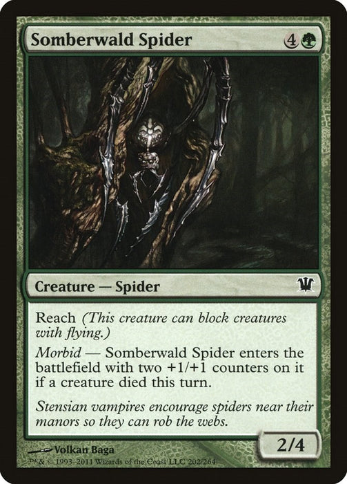 Somberwald Spider [ISD - 202]