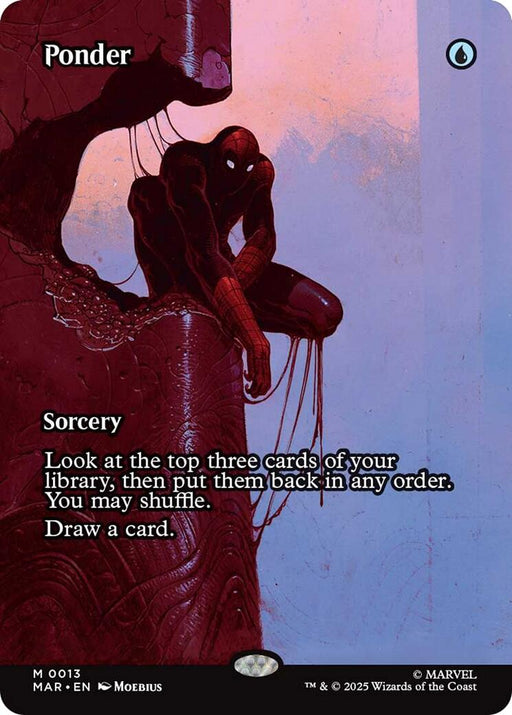 Ponder (Borderless)