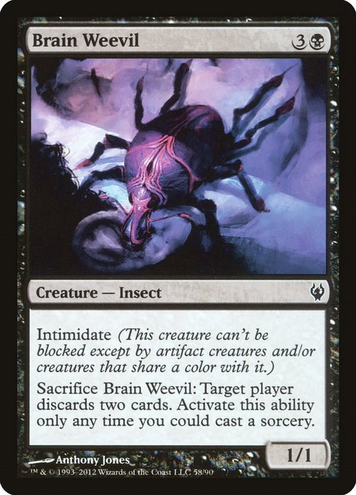Brain Weevil [DDJ - 58]
