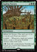 Sapling Nursery