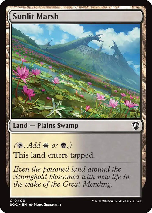 Sunlit Marsh