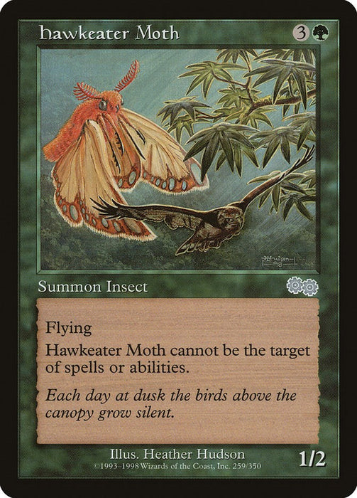 Hawkeater Moth [USG - 259]
