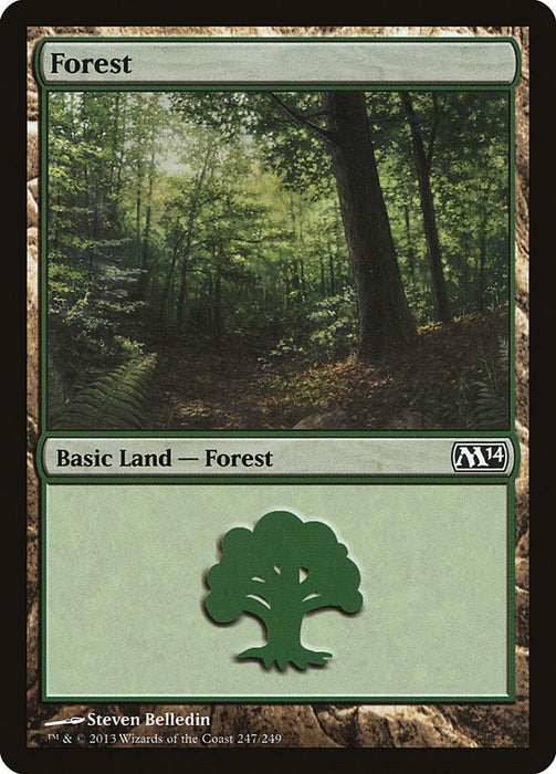 Forest (247) [M14 - 247]
