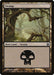 Swamp (241)