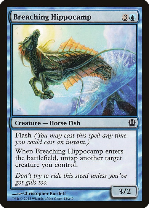 Breaching Hippocamp [THS - 43]