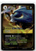 Kayle, Justified (Top 8)