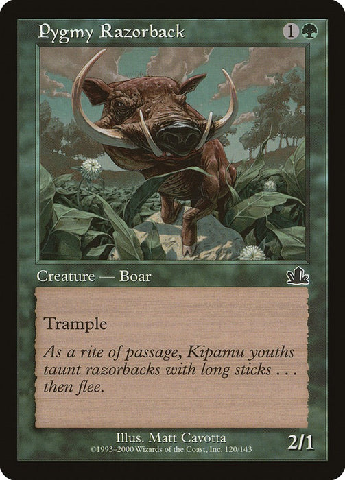 Pygmy Razorback [PCY - 120]
