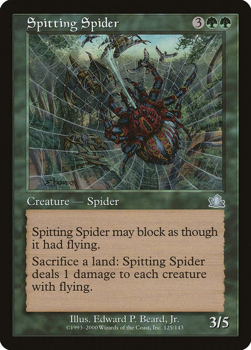 Spitting Spider [PCY - 125]