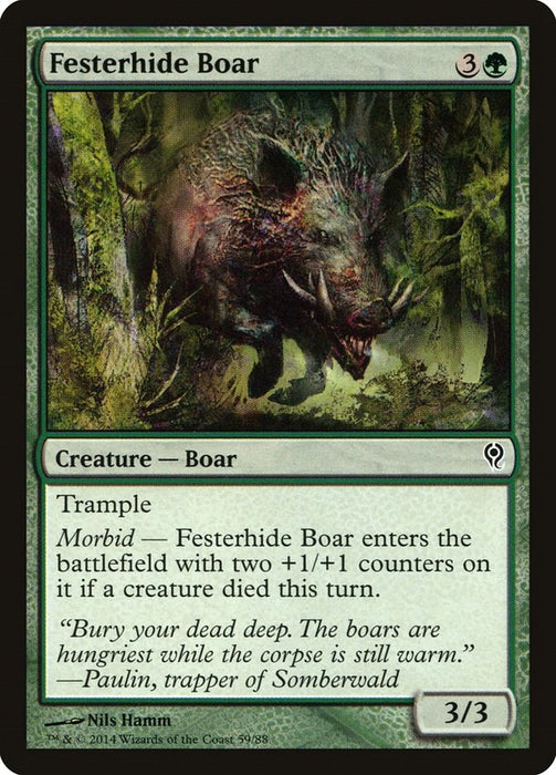 Festerhide Boar [DDM - 59]